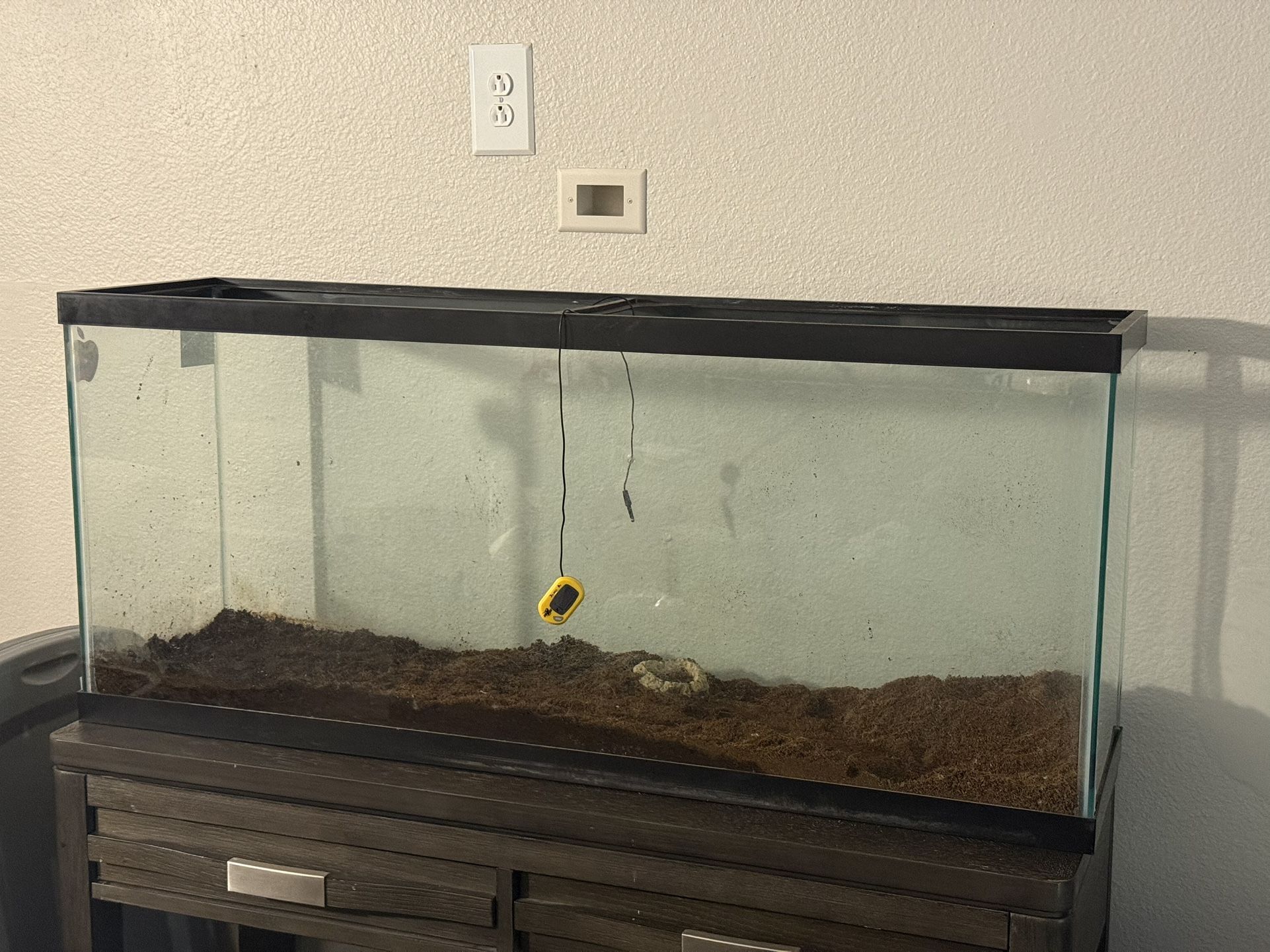 55 Gallon Fish Tank