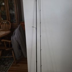 Okuma 10' 6" Salmon rod. 8-12