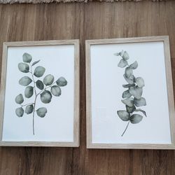Two Piece Framed Eucalyptus Wall Art!
