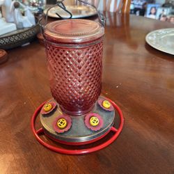 Humming Bird Feeder