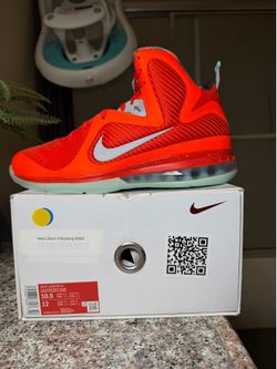 Size10.5 LeBron 9
