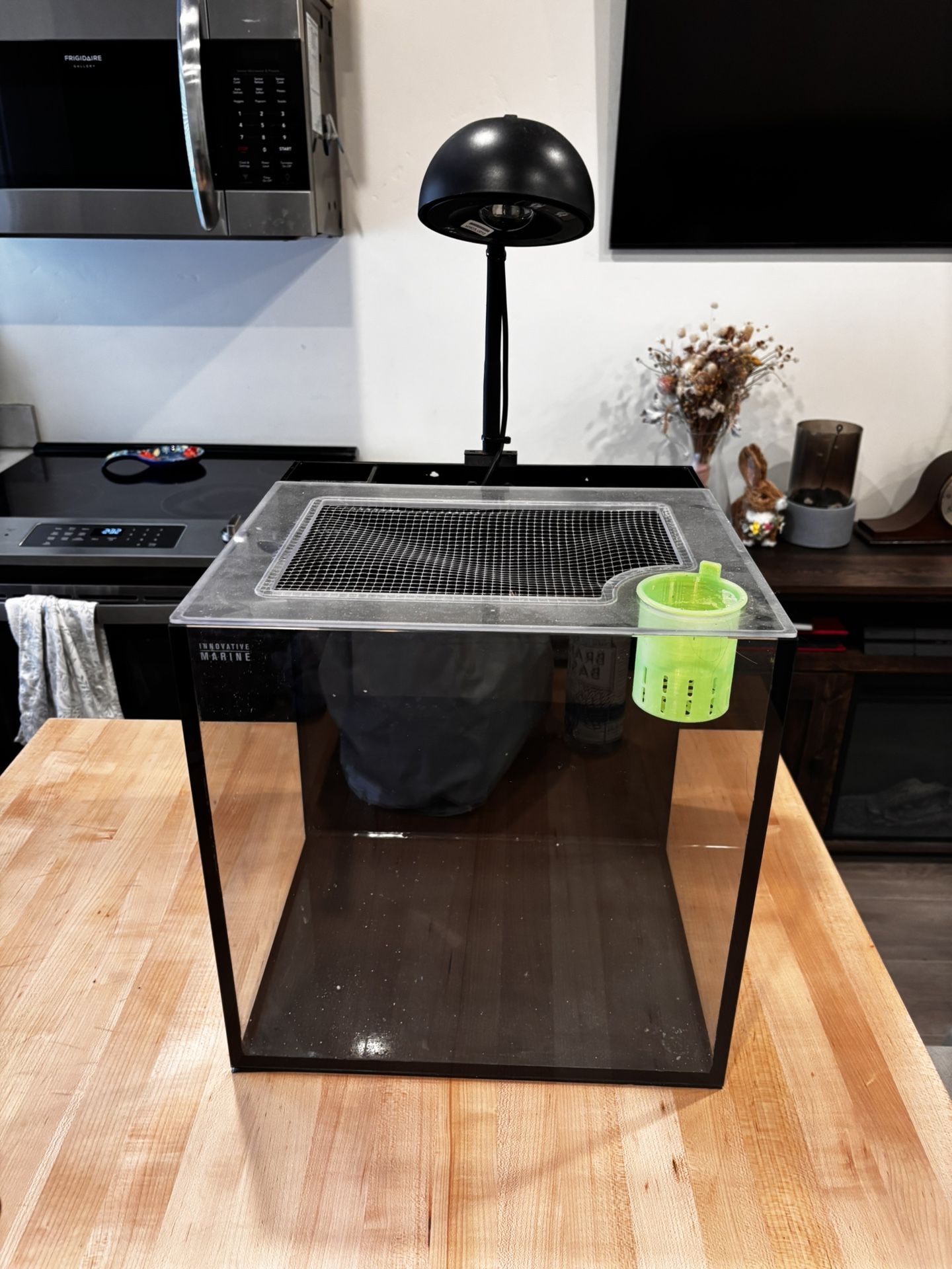 Fish Tank AIO 15 Gallon Cube