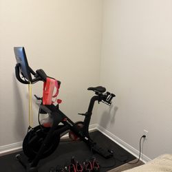 Peleton Great Condition 