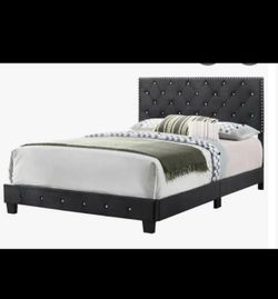 Queen Bed Mint Condition (Almost New)