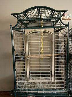 Bird Cage