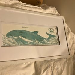 Frame Whale Picture Ready For Wall