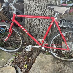 Trek $150 Cada Una