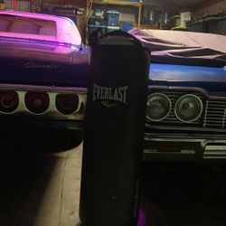 Everlast heavy bag