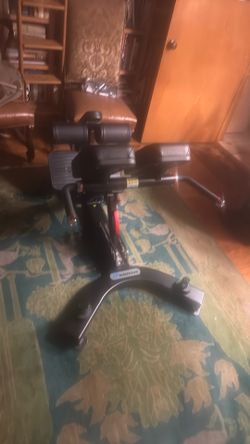 Nautilus Inspiration Adjustable Back Extension