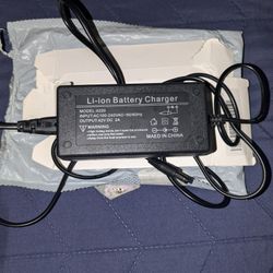 2024 Lion Battery Charger Lion Battery Charger