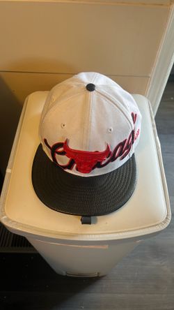 Chicago bulls