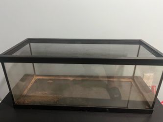 Fish/Snake tank