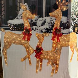 Lighted Christmas Reindeer Outdoor Decoration Set