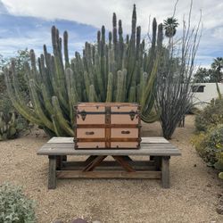 Early 19th Century Antique Trunk 