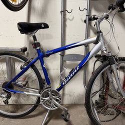 Farrago Giant Bicycle