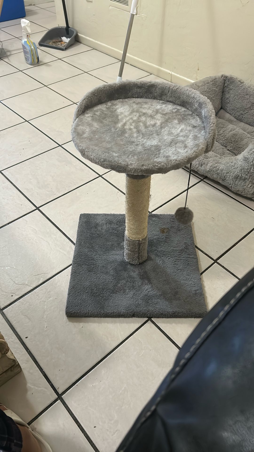 Cat Bed