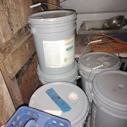 New Paint Some Used