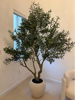 Love tree