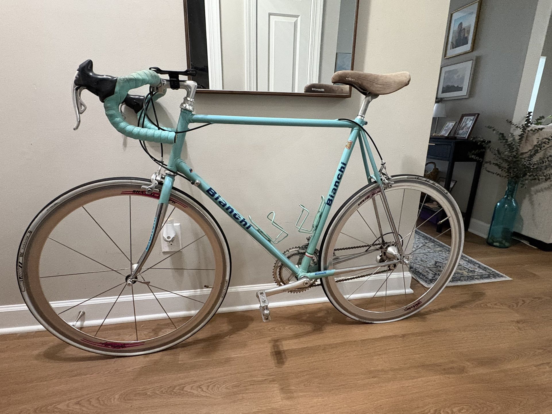 Bianchi reparto corse TSX