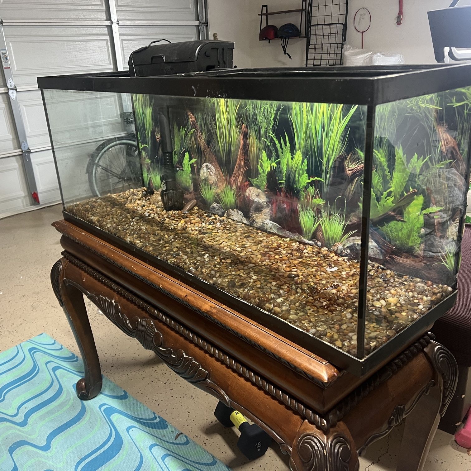 55 gallon fish outlet tank decorations