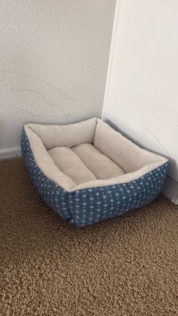 cat bed