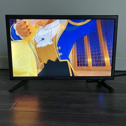 ProScan Tv with DVD Player