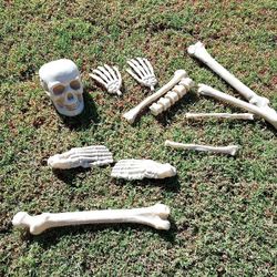 Halloween Decorations Bones, Cauldron, Caution Tape