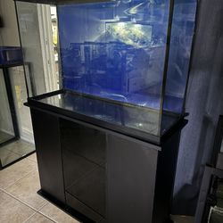 Fish Tank Aquarium 40 Gallon 