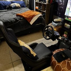 racing Sim Rig 