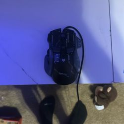 Mouse