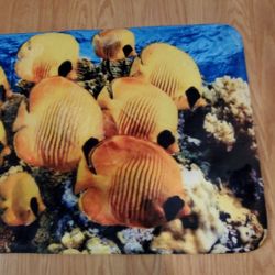 Fish Rug Bath Mat..size Med..brand New!