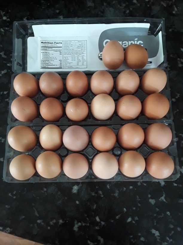 Eggs. Fresh organic Brown Eggs. Free Delivery If You Buy 3 dozen Or more.