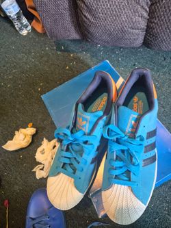 Size 11 new Adidas shell toe classic