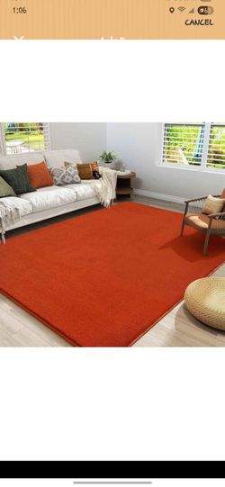 New Rug