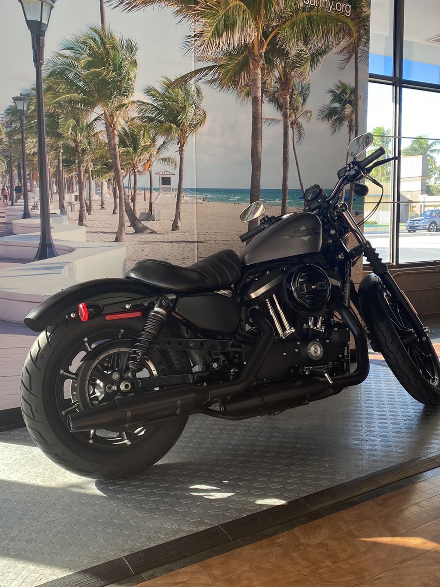 2020 USA Harley Davidson Sportster 883