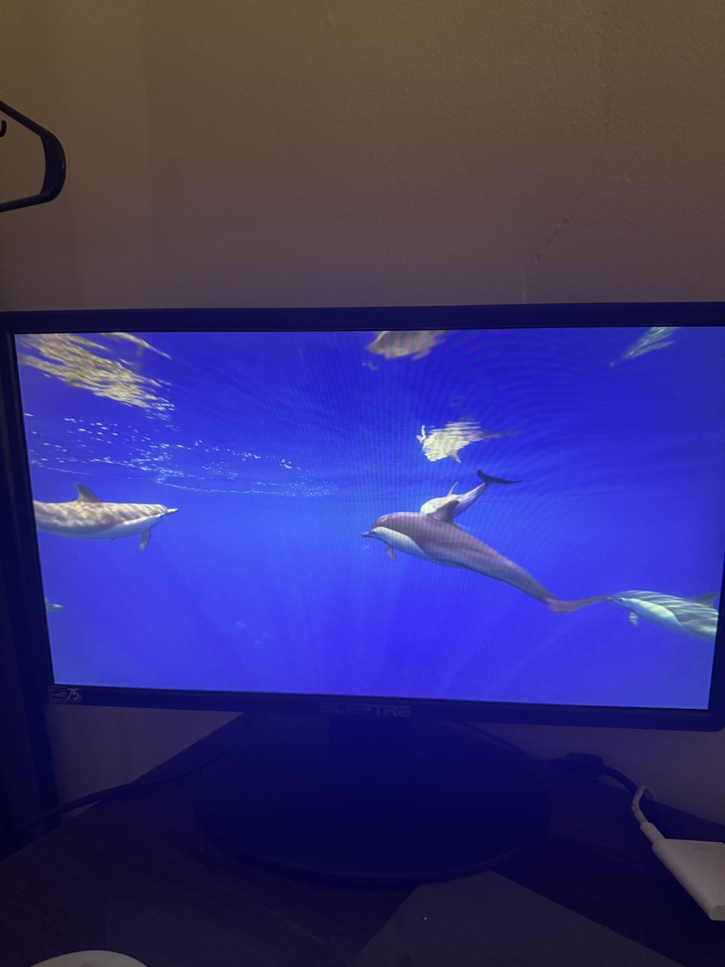 19.5 Inch Monitor