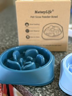 Slow Feeder Pet Bowl