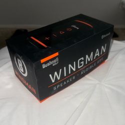 Wingman Speaker 