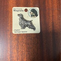 Springer Spaniel. Magnet 