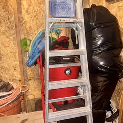 Werner Ladder