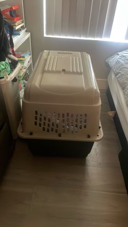 Dog kennel