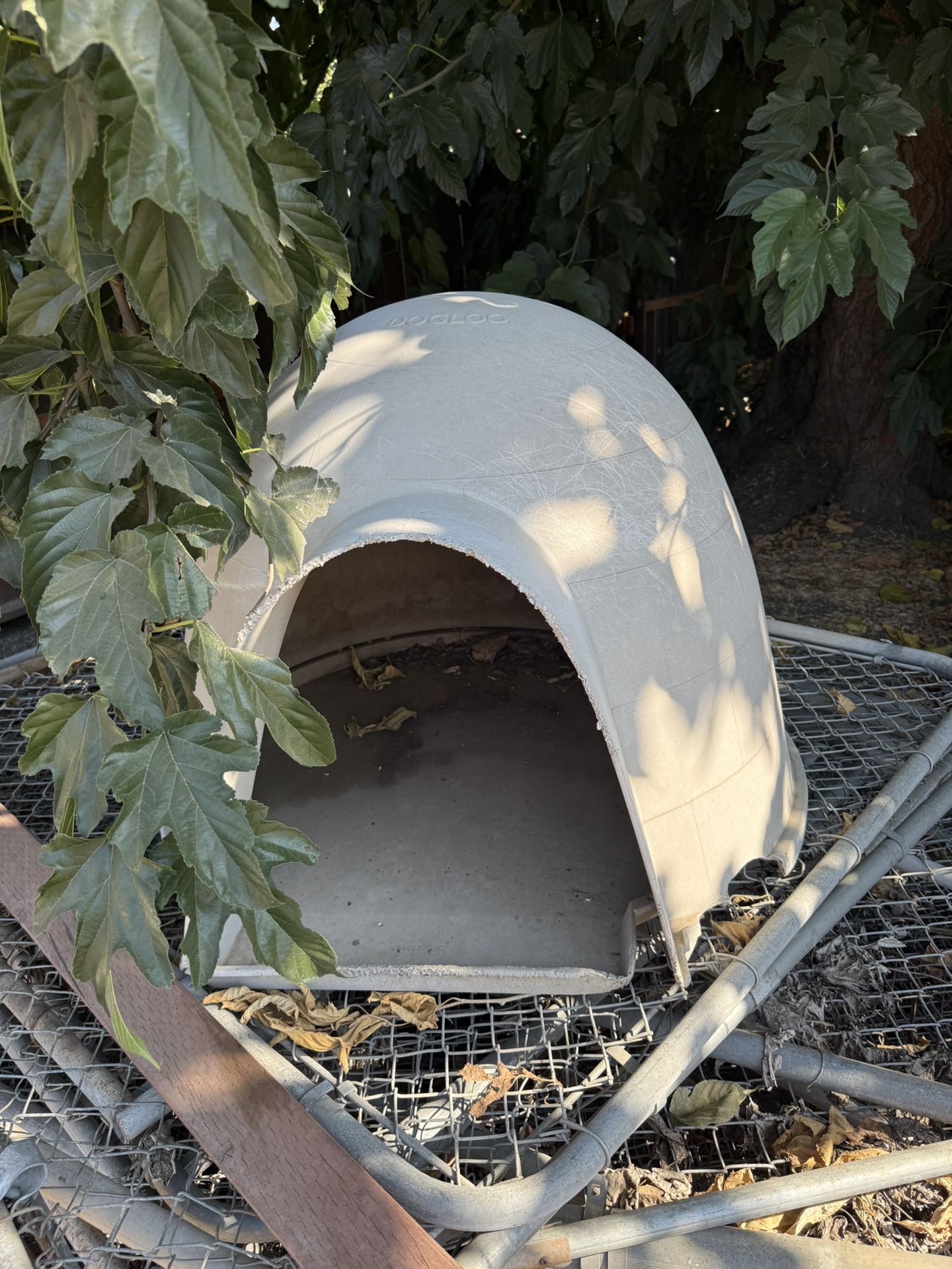 Dog House 