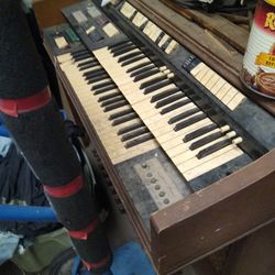 Organ