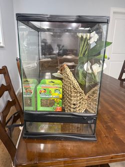 Glass Terrarium with Accessories Bundle
