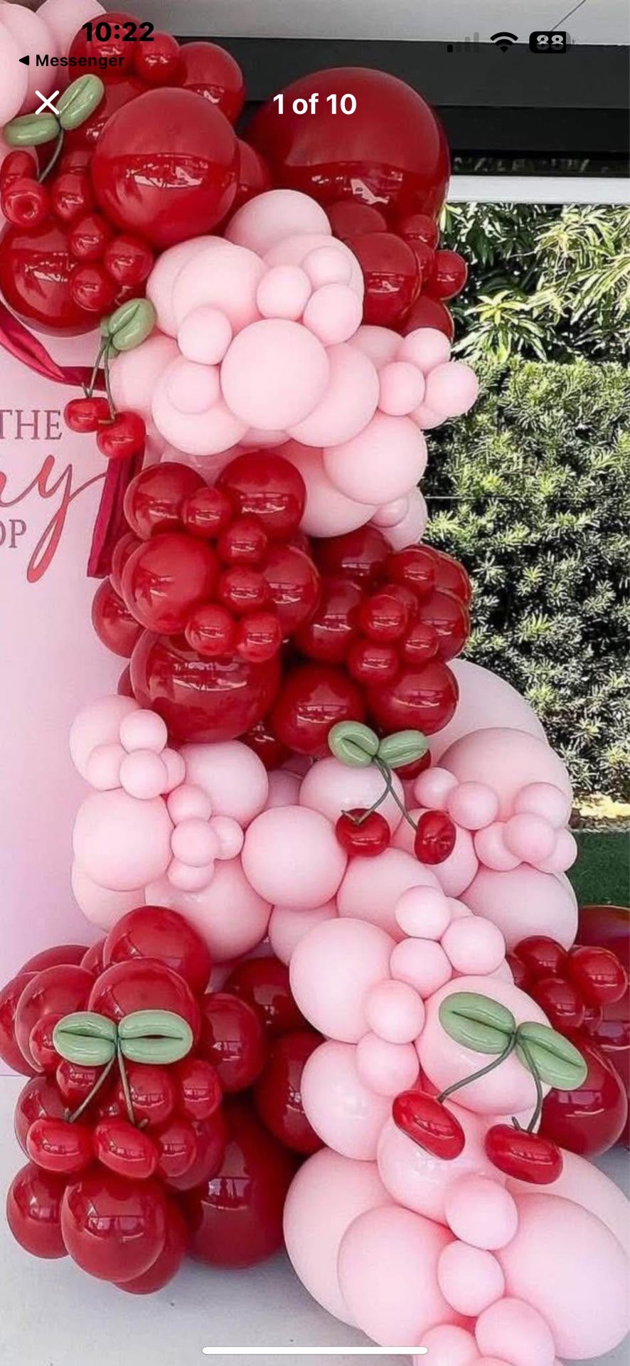 organic Cherry, Balloon, Arch