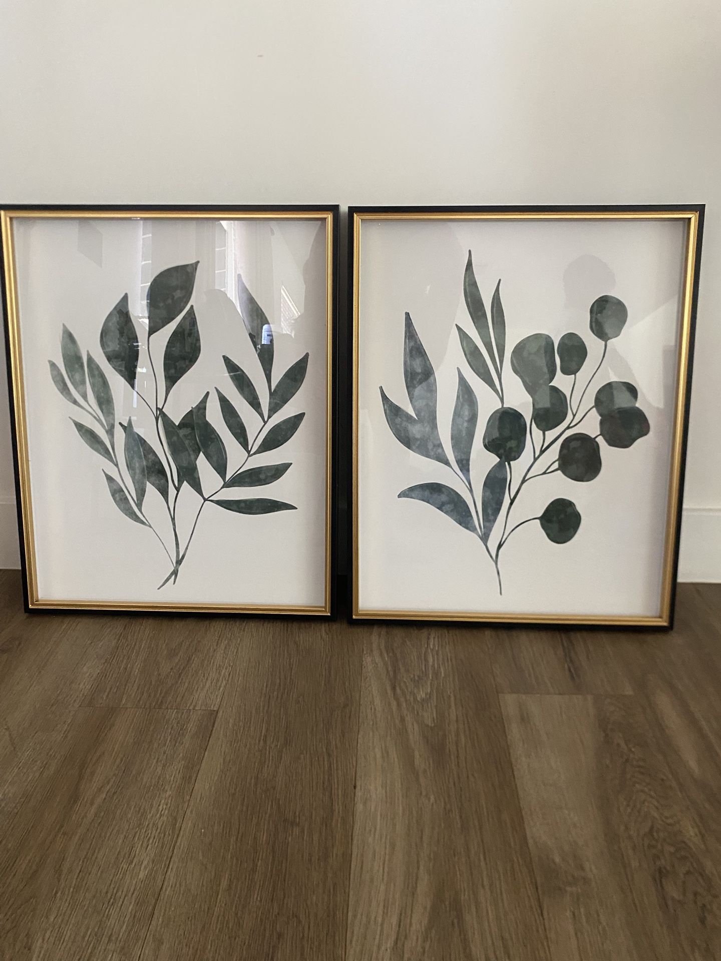 Eucalyptus Picture Frames 