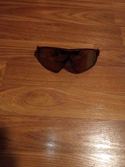 Pugs Sunglasses 