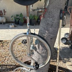 Unicycle 24 Inch