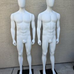 Mens Mannequin $150 Each