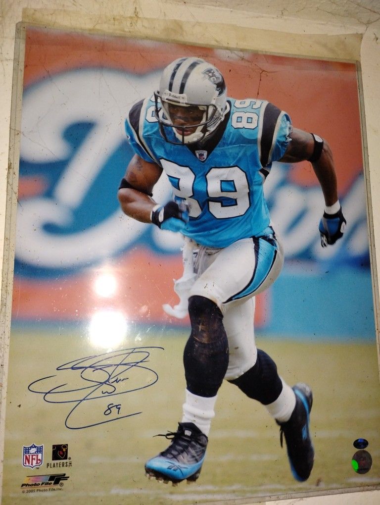Steve Smith Signed Autograph 16x20 Hologram Coa Carolina Panthers Auto 